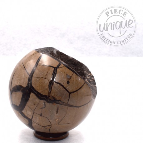 Septaria sauvage forme sphérique B21