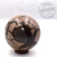 Septaria sauvage forme sphérique B21