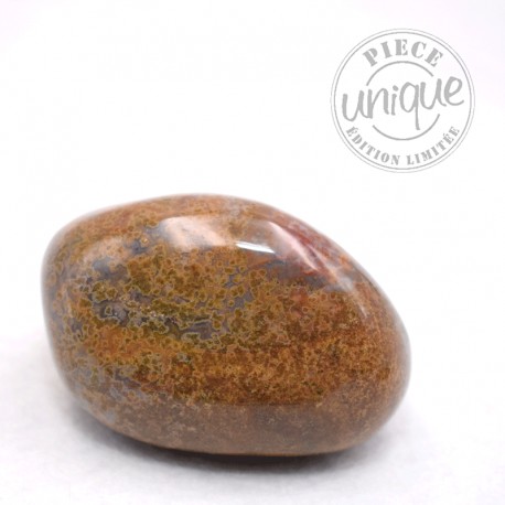 Jaspe Orbicular piedra pulida 06