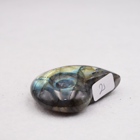Labradorite taillée façon ammonite AMLB2