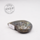 Labradorite taillée façon ammonite AMLB4