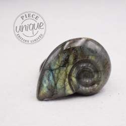 Labradorite taillée façon ammonite AMLB4