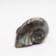 Labradorite taillée façon ammonite AMLB4