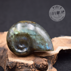 Labradorite taillée façon ammonite AMLB1