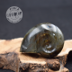 Labradorite taillée façon ammonite AMLB1