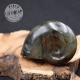 Labradorite taillée façon ammonite AMLB1