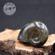 Labradorite taillée façon ammonite AMLB1