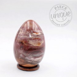 Madera fosilizada huevo ARL31