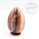 Bois fossile oeuf ARL27