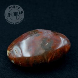 Bois fossile galet ARB64