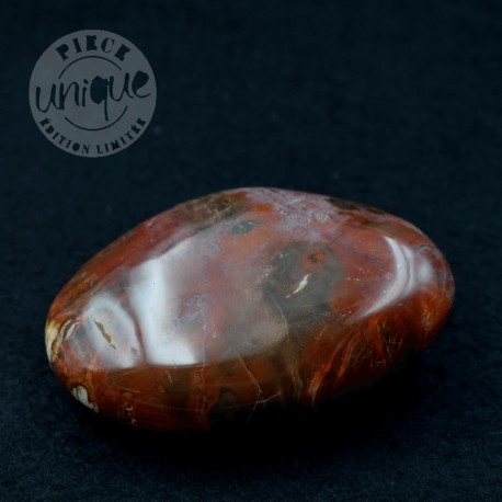 Bois fossile galet ARB64