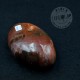 Bois fossile galet ARB64