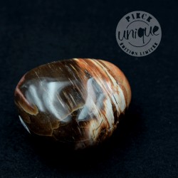 Bois fossile galet ARM38