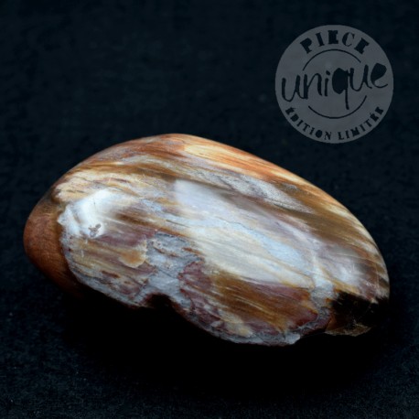 Bois Fossile galet 04