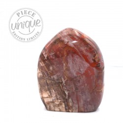 Bois fossile forme libre ARL5