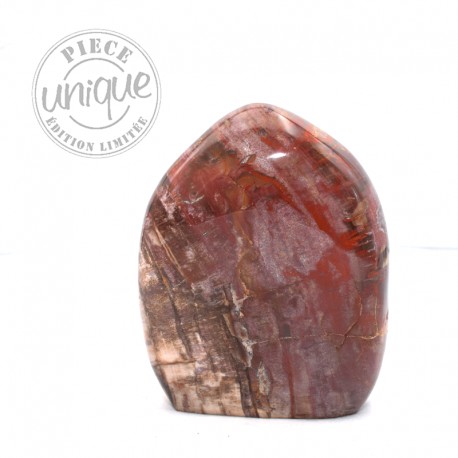 Bois fossile forme libre 2