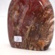Bois fossile forme libre ARL5
