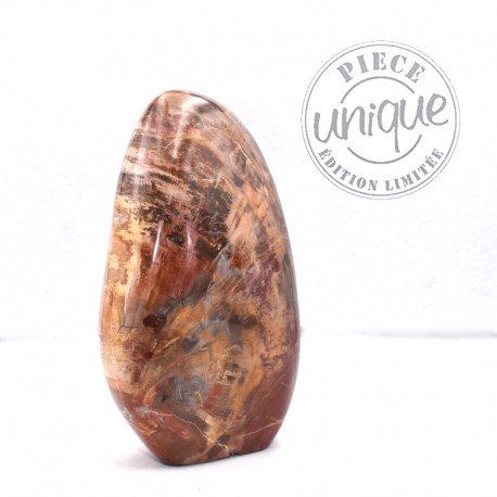 Bois fossile forme libre ARL5