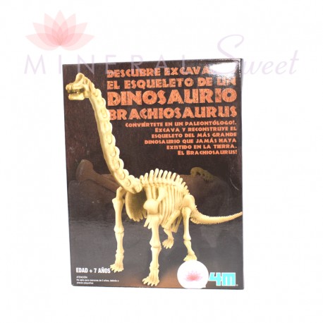 KIT ARCHÉOLOGIE BRACHIOSAURE