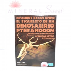 KIT PALEONTOLOGÍA PTERANODONTE