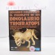 KIT PALÉONTOLOGIE TRICERATOPS