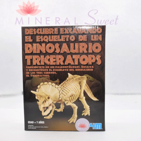 KIT PALÉONTOLOGIE TRICERATOPS