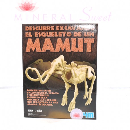 KIT ARQUEOLOGÍA BRAQUIOSAURIO