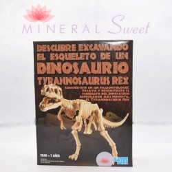 KIT PALÉONTOLOGIE TYRANNOSAURUS REX