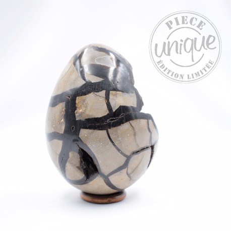 Septaria sauvage forme libre 4