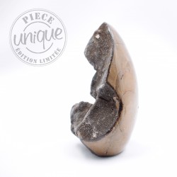 Septaria sauvage forme libre ARF10