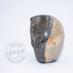 Septaria sauvage forme libre 9