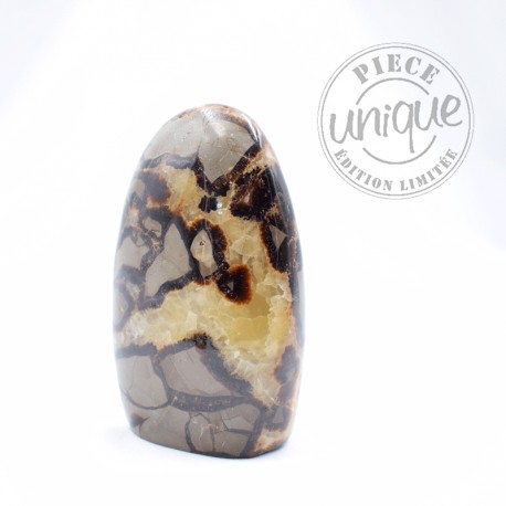 Septaria forme libre 3