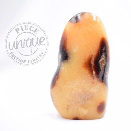 Septaria forme libre 4