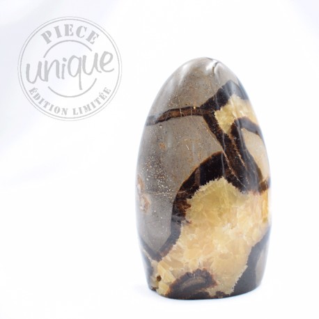 Septaria forme libre 2