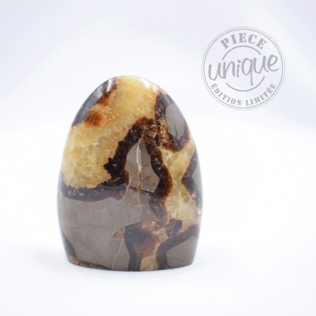 Septaria forme libre 1