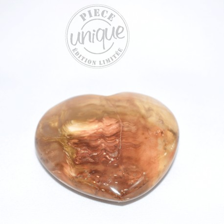 Bois fossile coeur 2