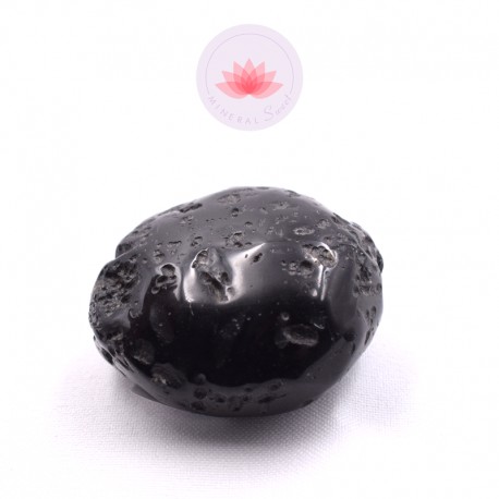 Grande Tectite roulée 3