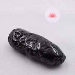 Grande Tectite roulée 7