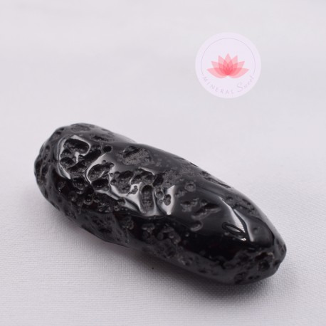 Grande Tectite roulée 7