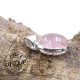 Pendentif Morganite 6