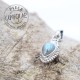 Pendentif Labradorite Argent Feuille 5