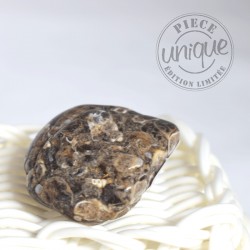 Ágata Turritella piedra rodada 1