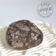 Ágata Turritella piedra rodada 3