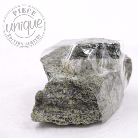 Serpentine verte zonée pierre brute 2