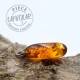 Pendentif Ambre naturel 2