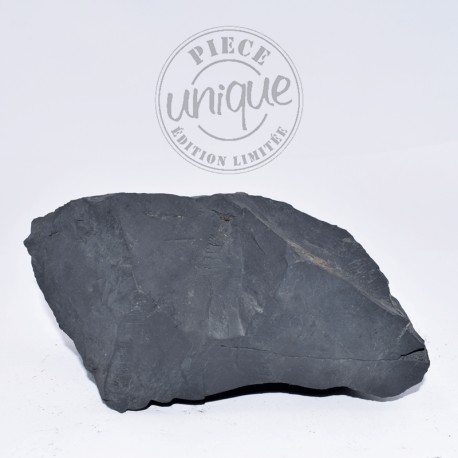 Shungite brute 5