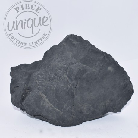 Shungite brute 7