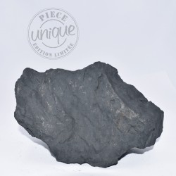 Shungite brute 8