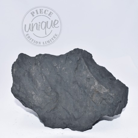 Shungite brute 8