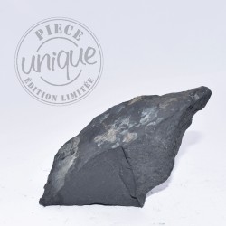 Shungite brute 9